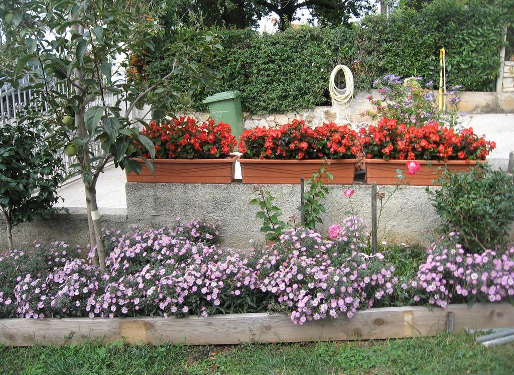 Apartments Adelita Poreč Quarto foto