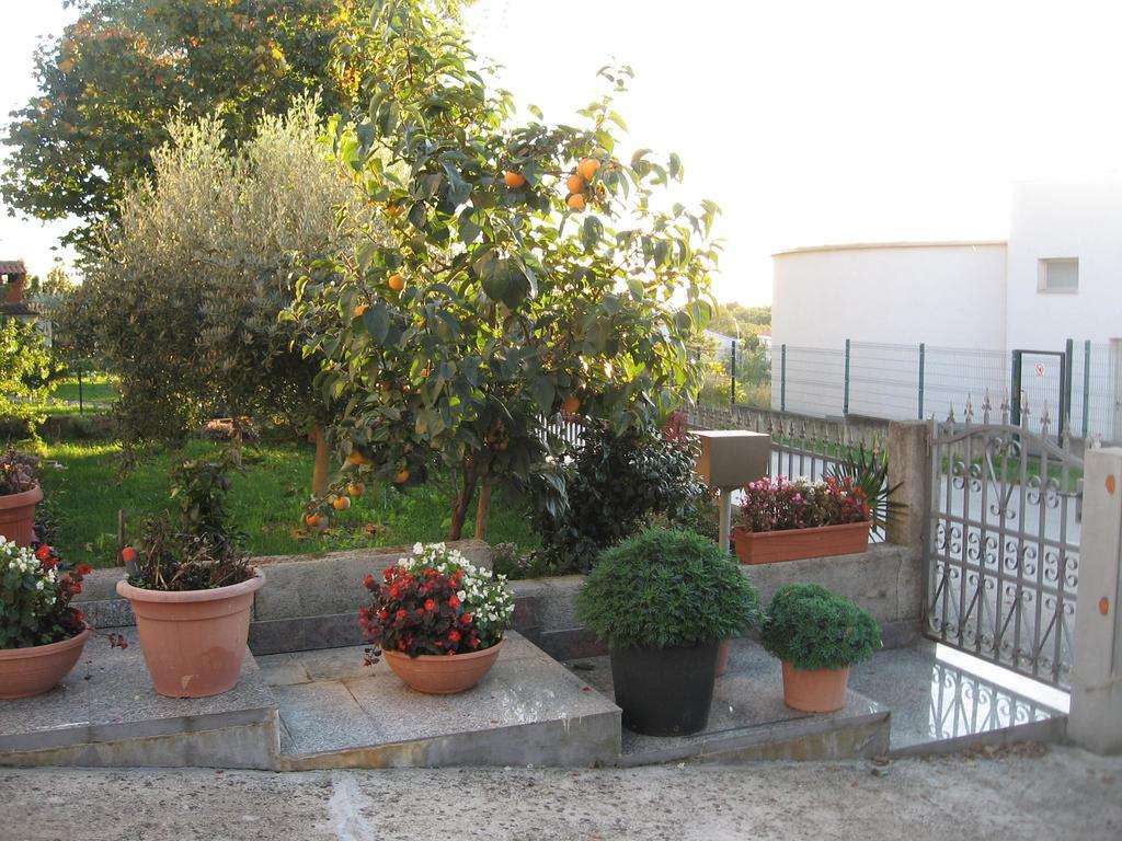 Apartments Adelita Poreč Exterior foto